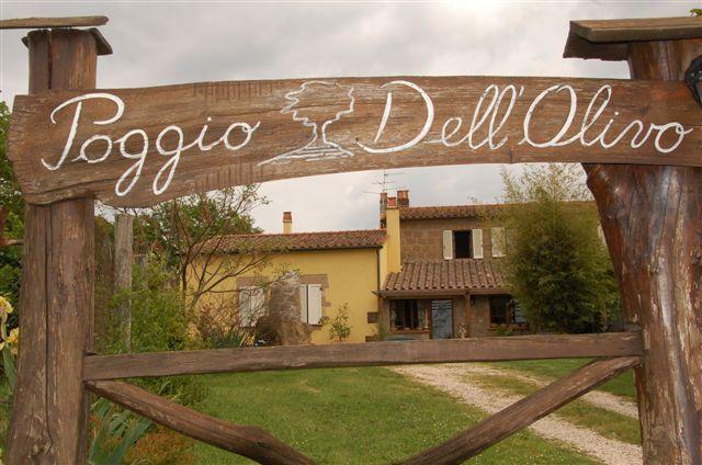 Poggio Dell'Olivo Villa Питиляно Екстериор снимка