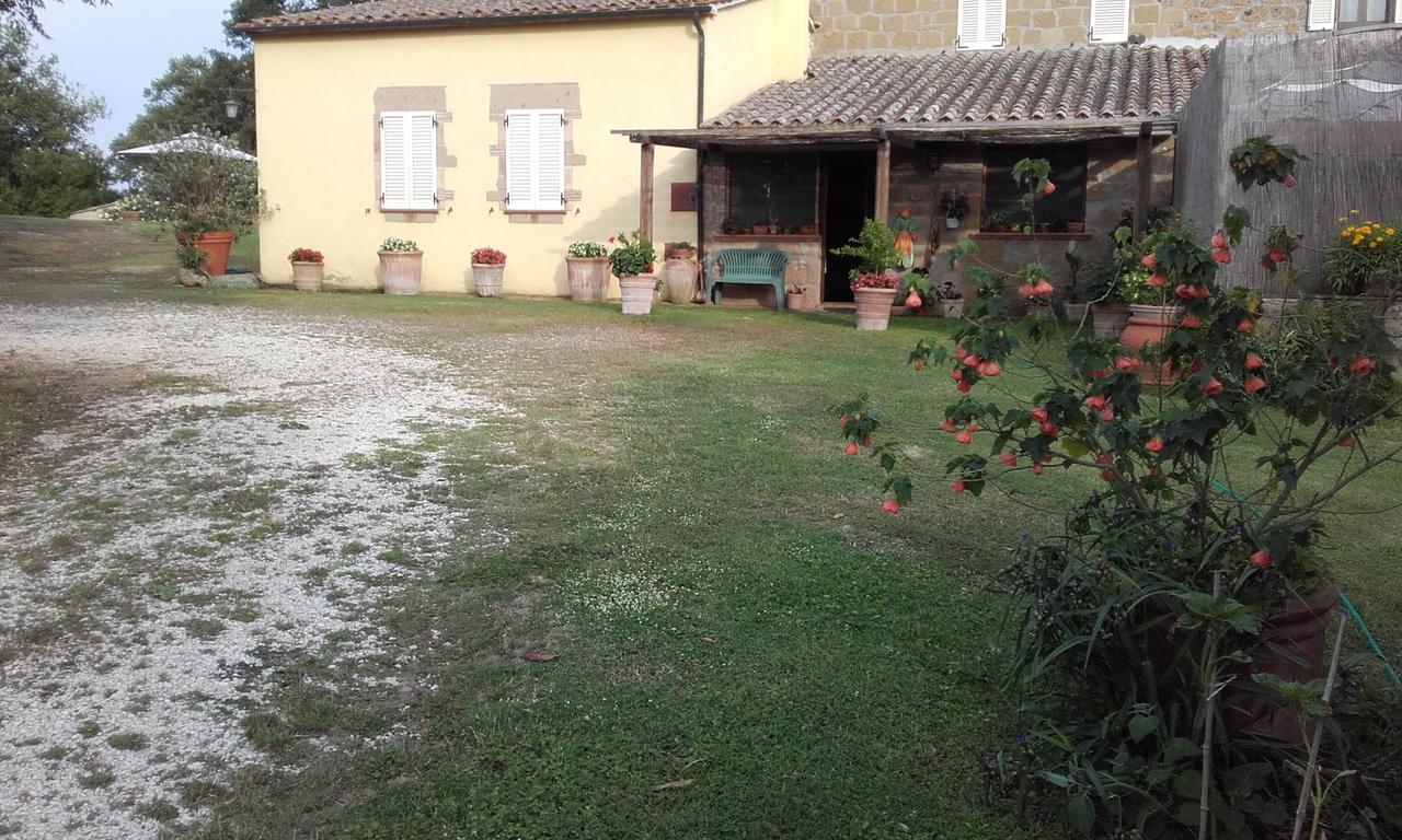 Poggio Dell'Olivo Villa Питиляно Екстериор снимка
